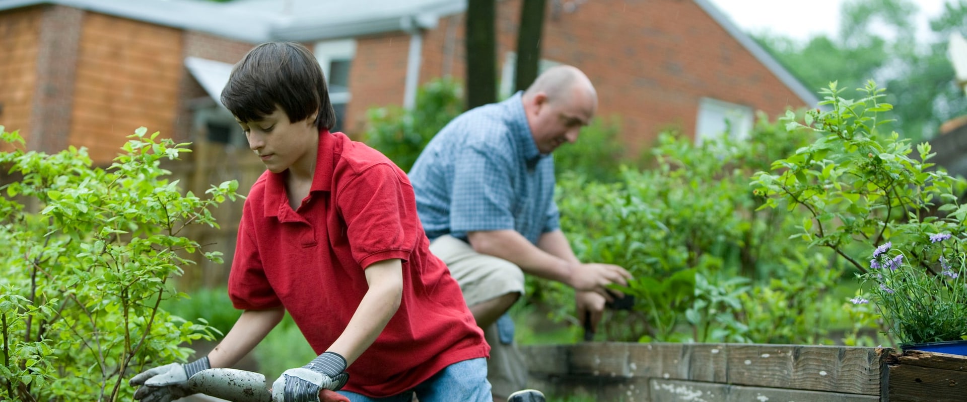 Is planting a garden hard work?