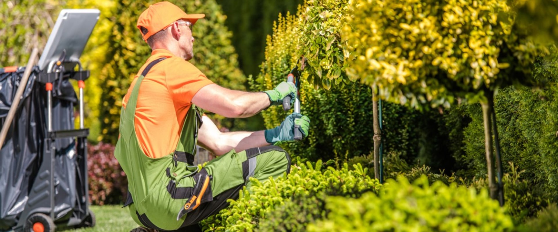 Garden maint?