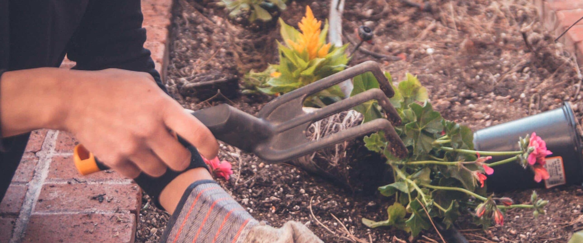 What is a professional gardener called?