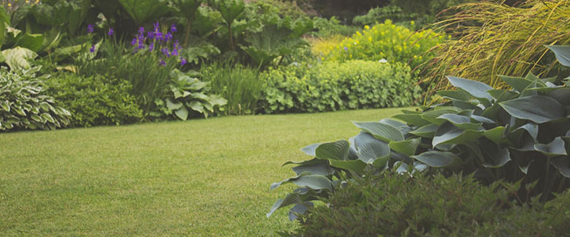 How to reduce garden maintenance?