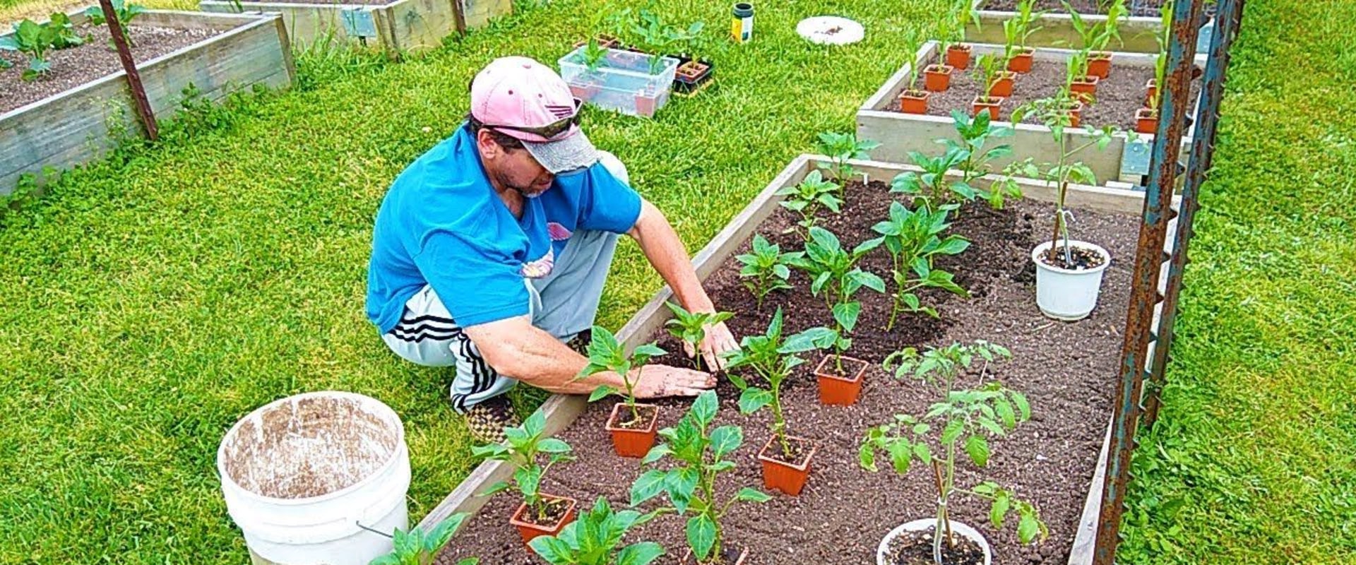 How do you start a garden step by step?