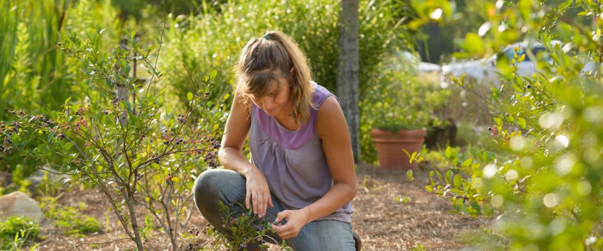 What is garden work?