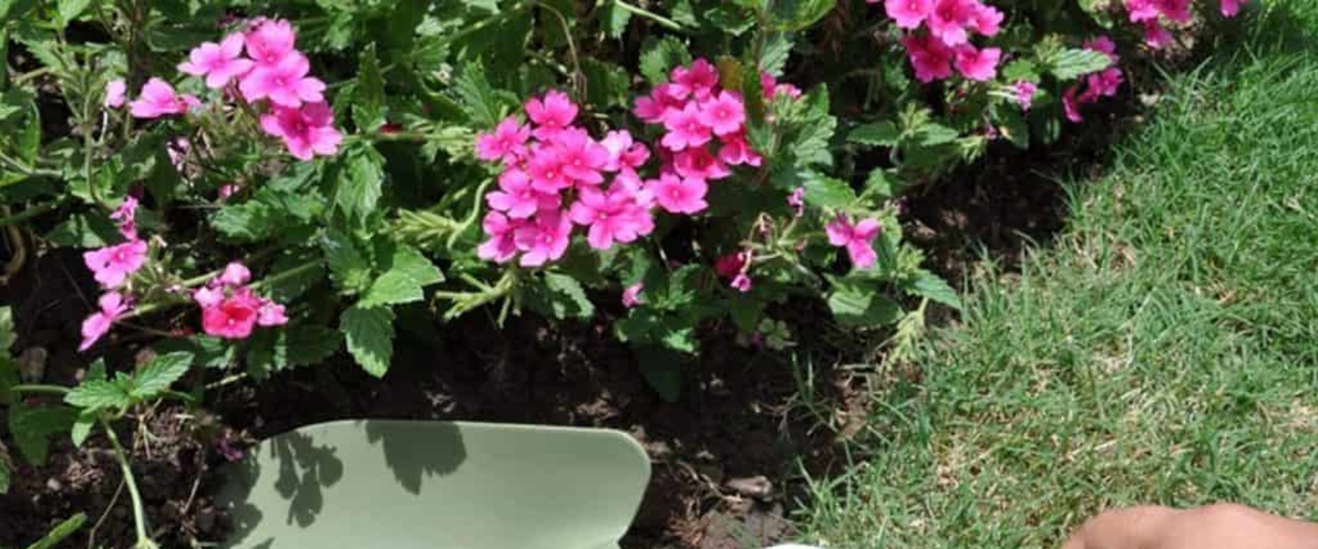 What are the 5 most common gardening tools?