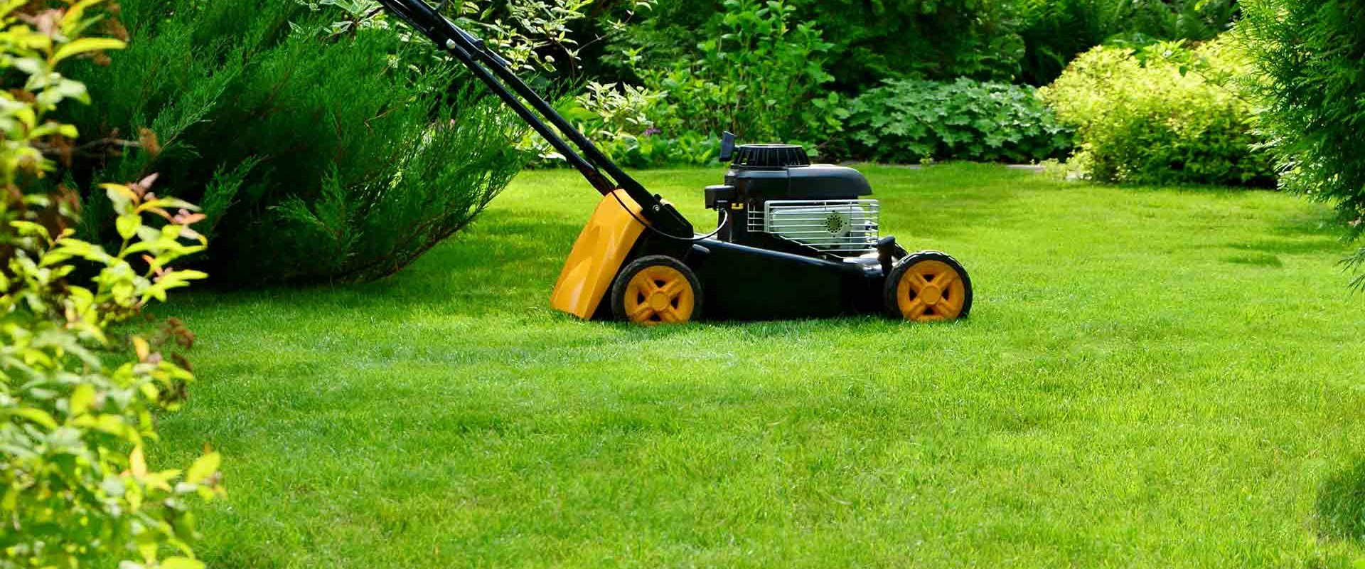 Garden maintenance meaning?