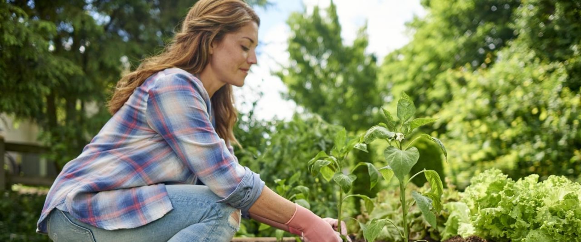 Is growing a garden hard?