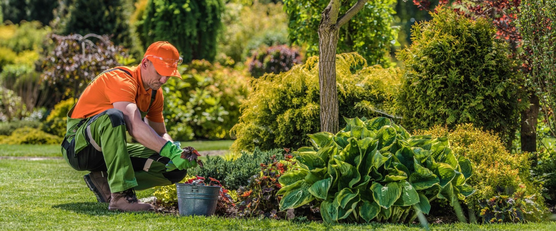 Can garden maintenance work in victoria?