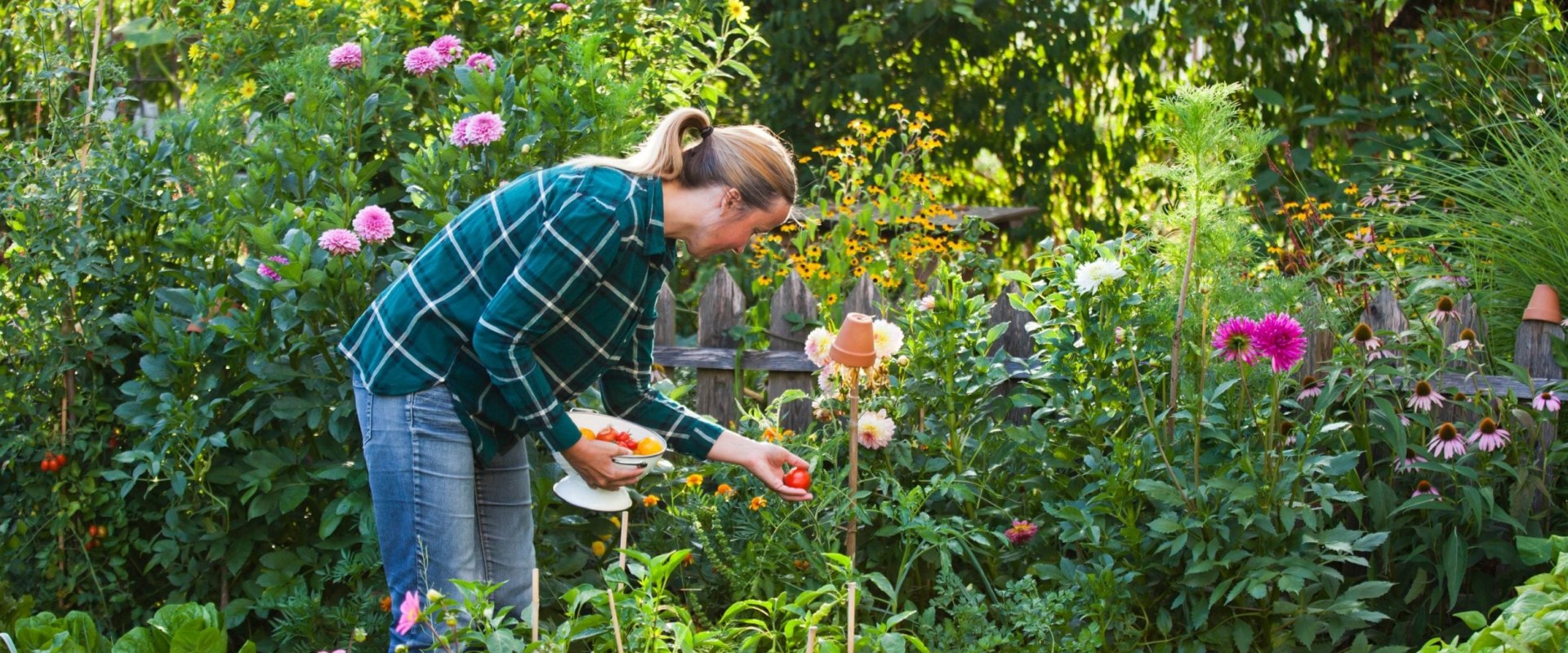 Can garden services operate during lockdown?