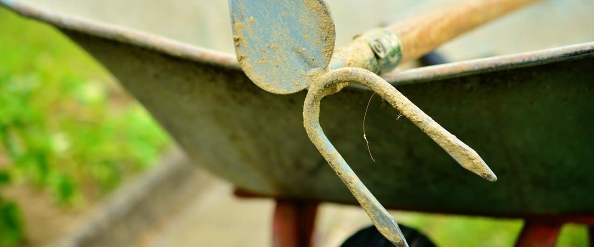 What tool does every gardener need?