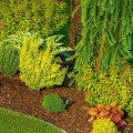 The Ultimate Guide to Garden Maintenance: How Often Should You Care for Your Garden?
