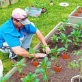 How do you start a garden step by step?