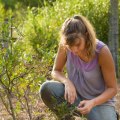 Understanding Garden Maintenance: A Comprehensive Guide to Garden Work