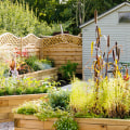 How to make your garden low maintenance?
