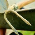 What tool does every gardener need?
