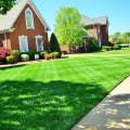 Comprehensive Guide to Garden Maintenance: Essential Services and Tips