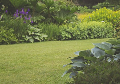 How to reduce garden maintenance?