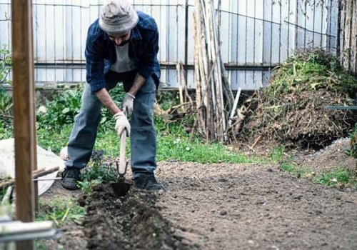 How do you start a garden from scratch in the ground?