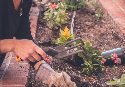 Garden maintenance list?