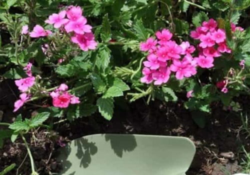 What are the 5 most common gardening tools?