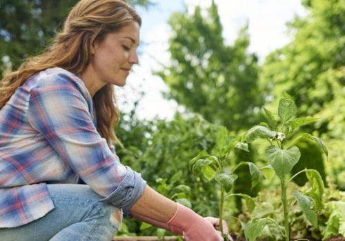 Is growing a garden hard?