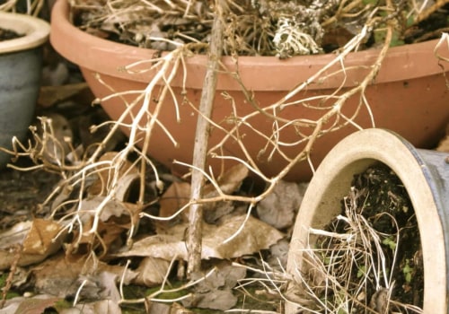 Why do most gardens fail?