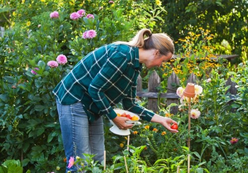 Can garden services operate during lockdown?