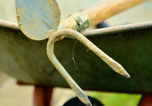 What tool does every gardener need?